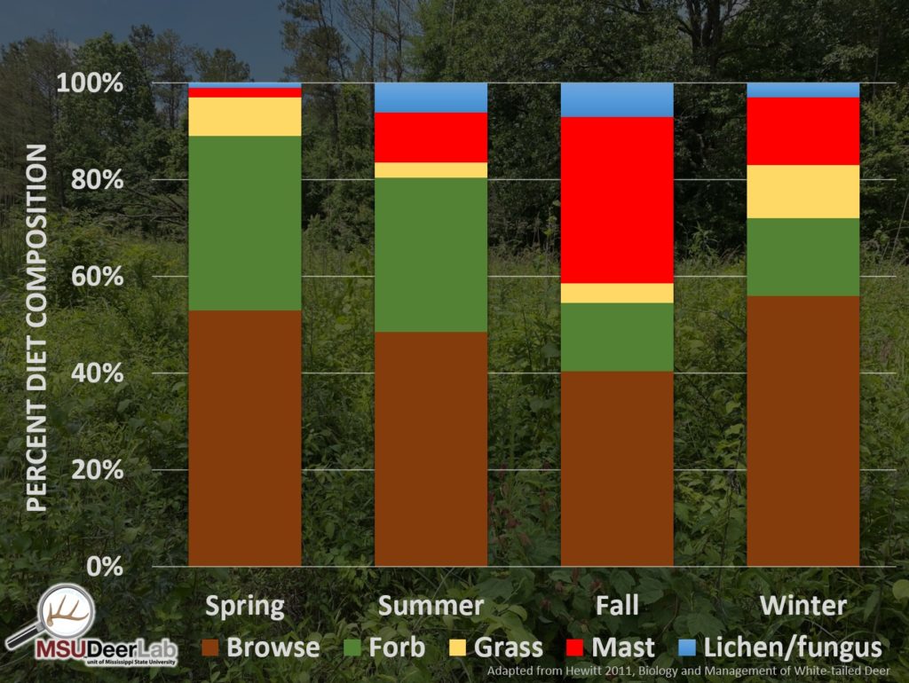 Graph of deer food by season.