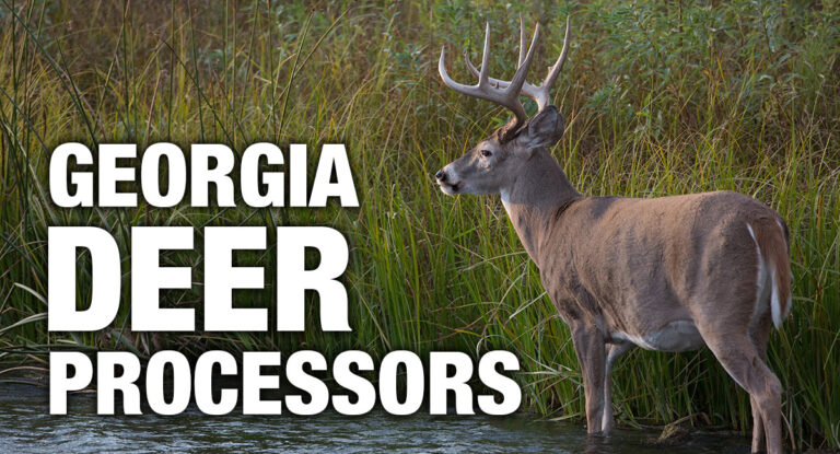 Georgia Deer Processor Directory: Updated for 2024