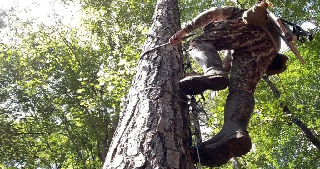 Hunter climbing a tree using climbing sticks.