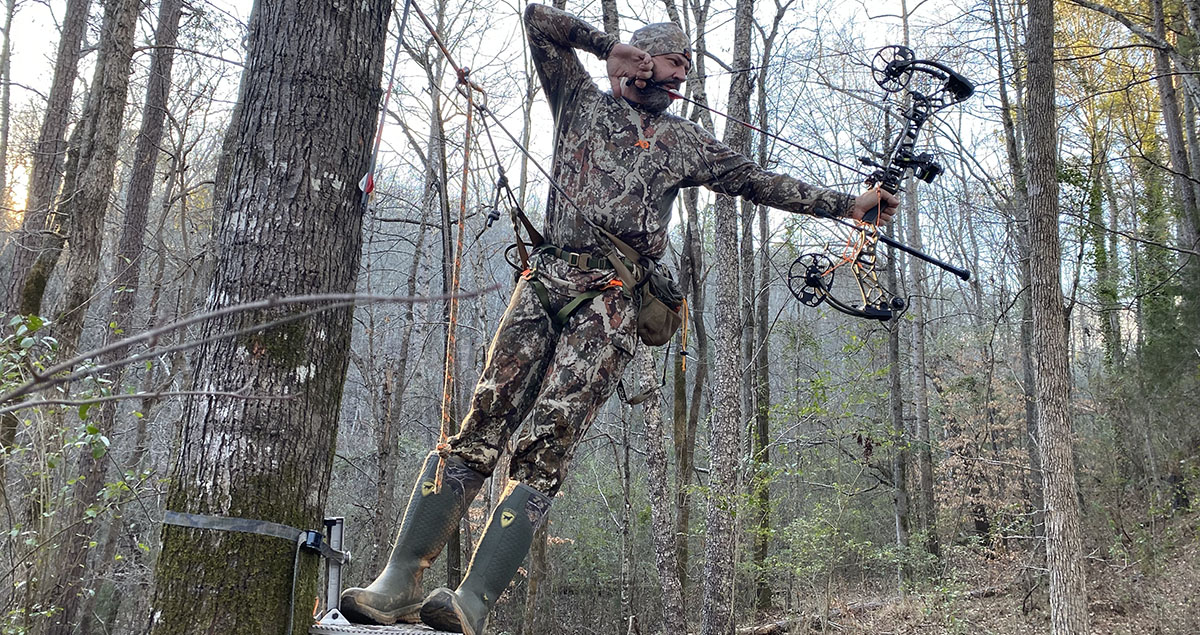 Saddle hunter shooting from a tree.