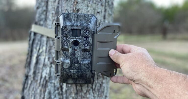 Cellular Trail Camera Data Plans Compared: Which is Best?