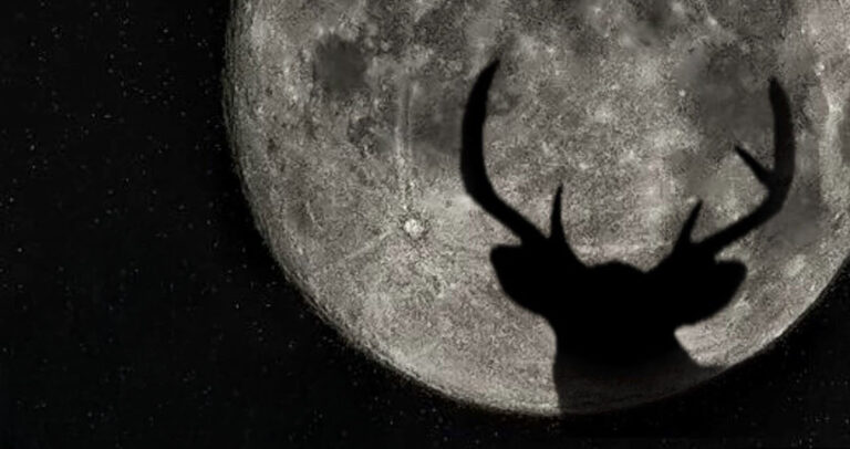 Does the Moon Really Impact Deer Movement? Insights from the MSU Deer Lab