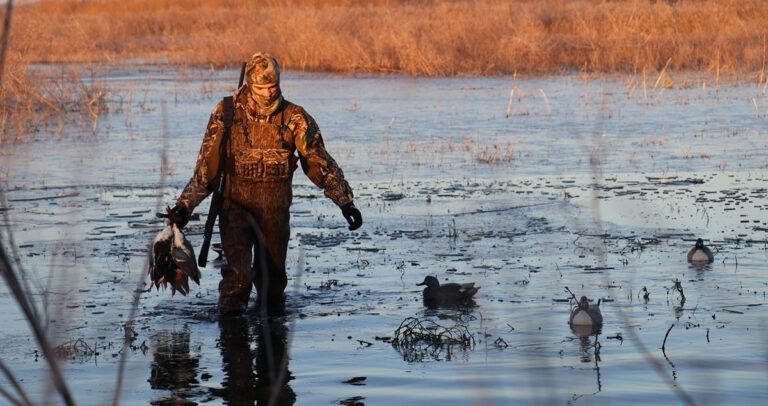 Only One Change Proposed for Georgia’s 2025-2026 Statewide Hunting Regulations