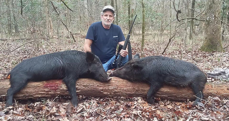 A hunter with two large black feral hogs.