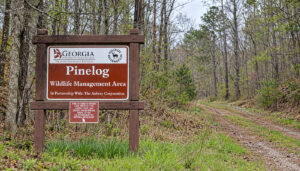 A sign marking the Pine Log WMA property.