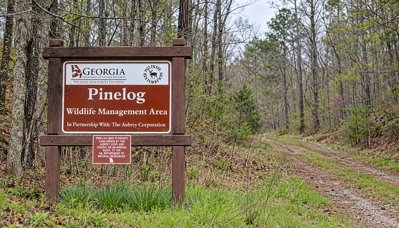 A sign marking the Pine Log WMA property.